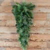 Online 36” Belgium Teardrop Christmas Teardrops