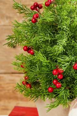 Hot 14" Cedar Berry Tree Christmas Accents