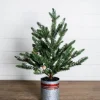 Shop 24” Farmhouse Potted Snowy Pine Tree Christmas Accents