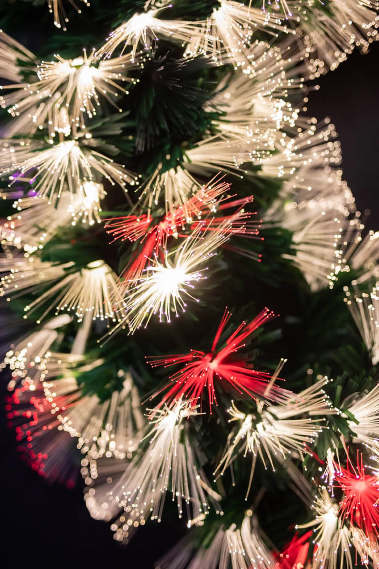 Best 24" Fiber Optic Wreath - Multicolor With White Christmas Wreaths
