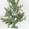 New 2’ Flocked Potted Pine Tree Christmas Accents