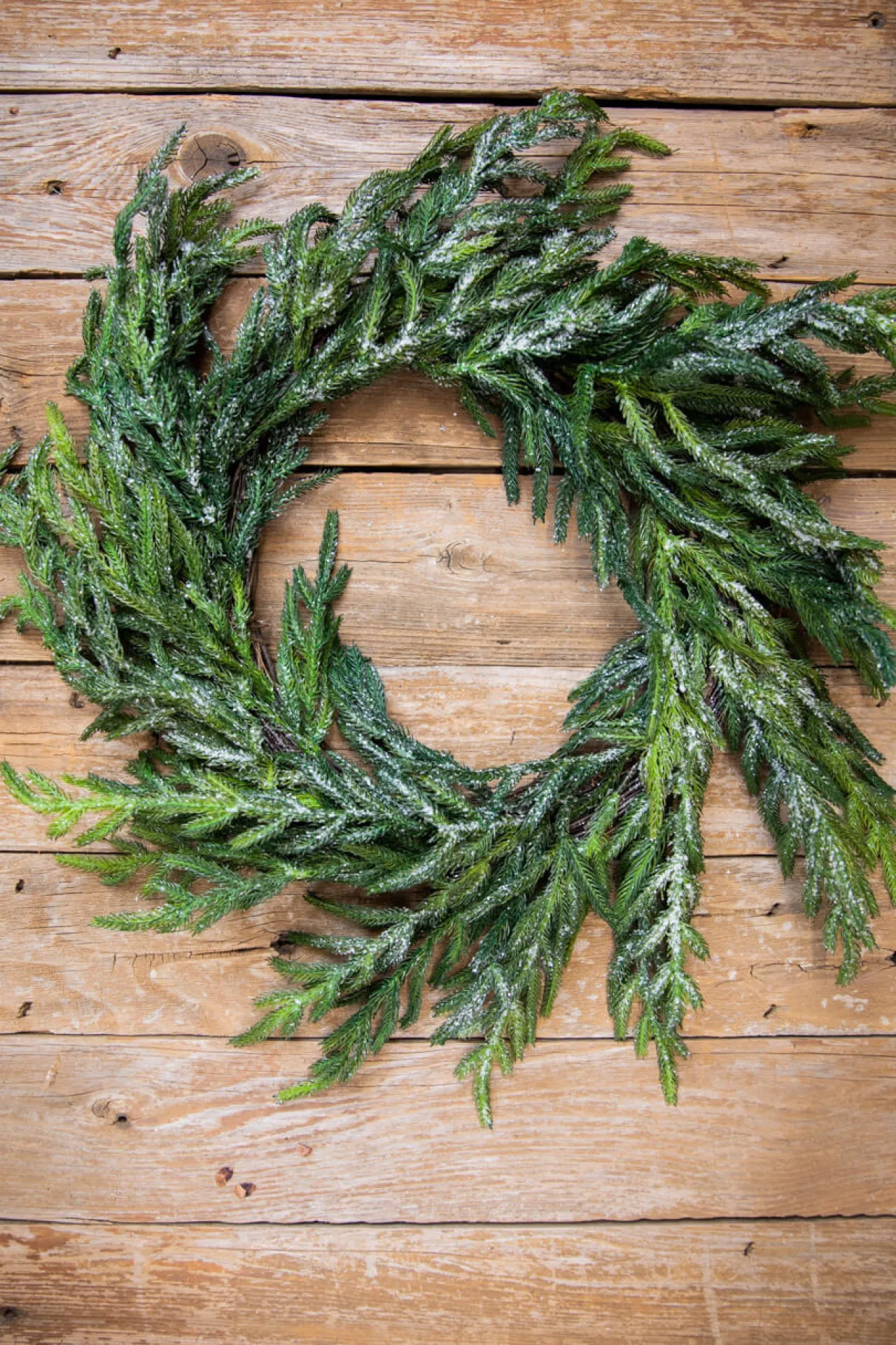 Clearance 24” Iced Garden Norfolk Pine Wreath Christmas Wreaths|Natural Greenery