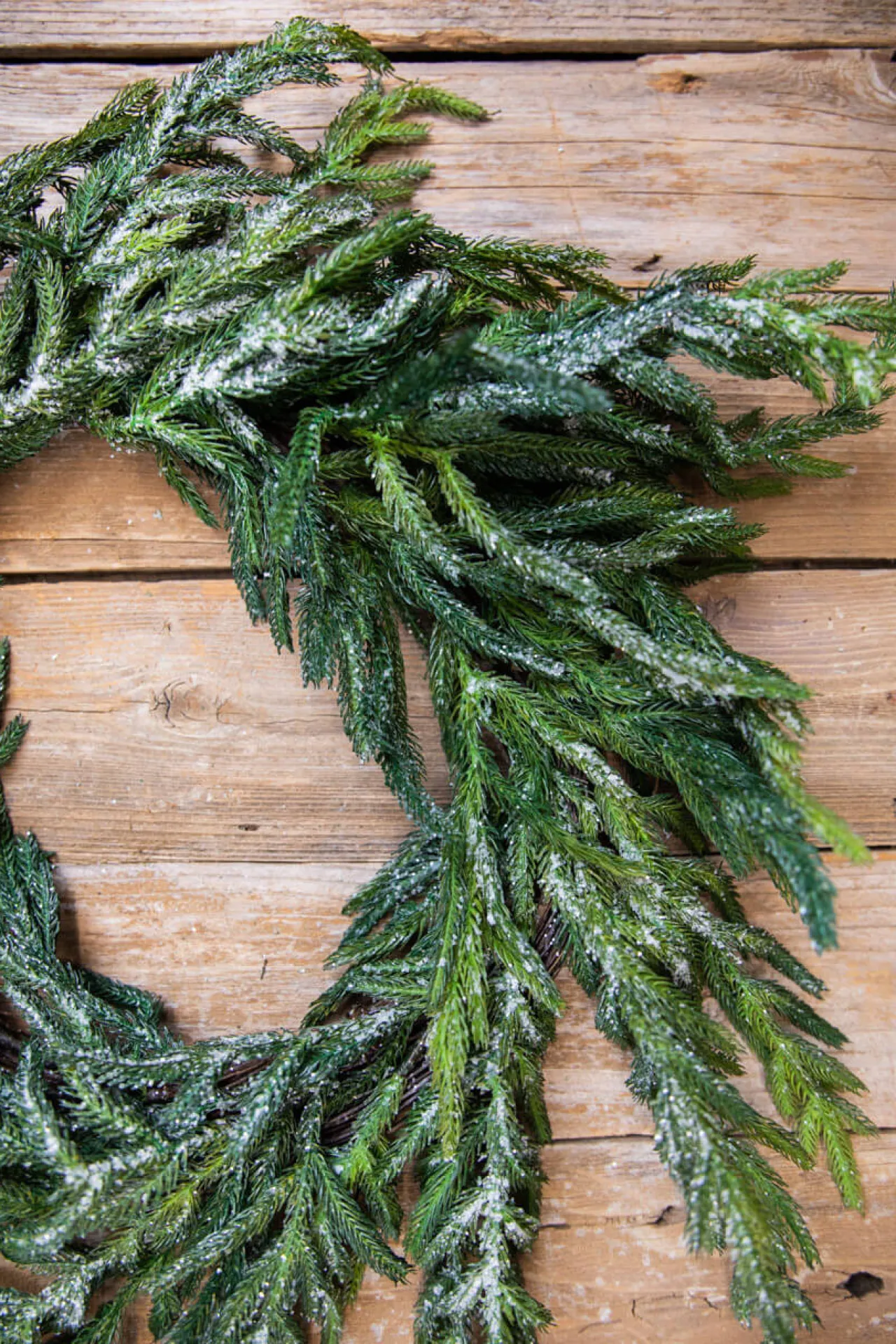 Clearance 24” Iced Garden Norfolk Pine Wreath Christmas Wreaths|Natural Greenery
