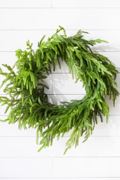 Best 24” Just Cut Norfolk Pine Wreath Christmas Wreaths|Natural Greenery