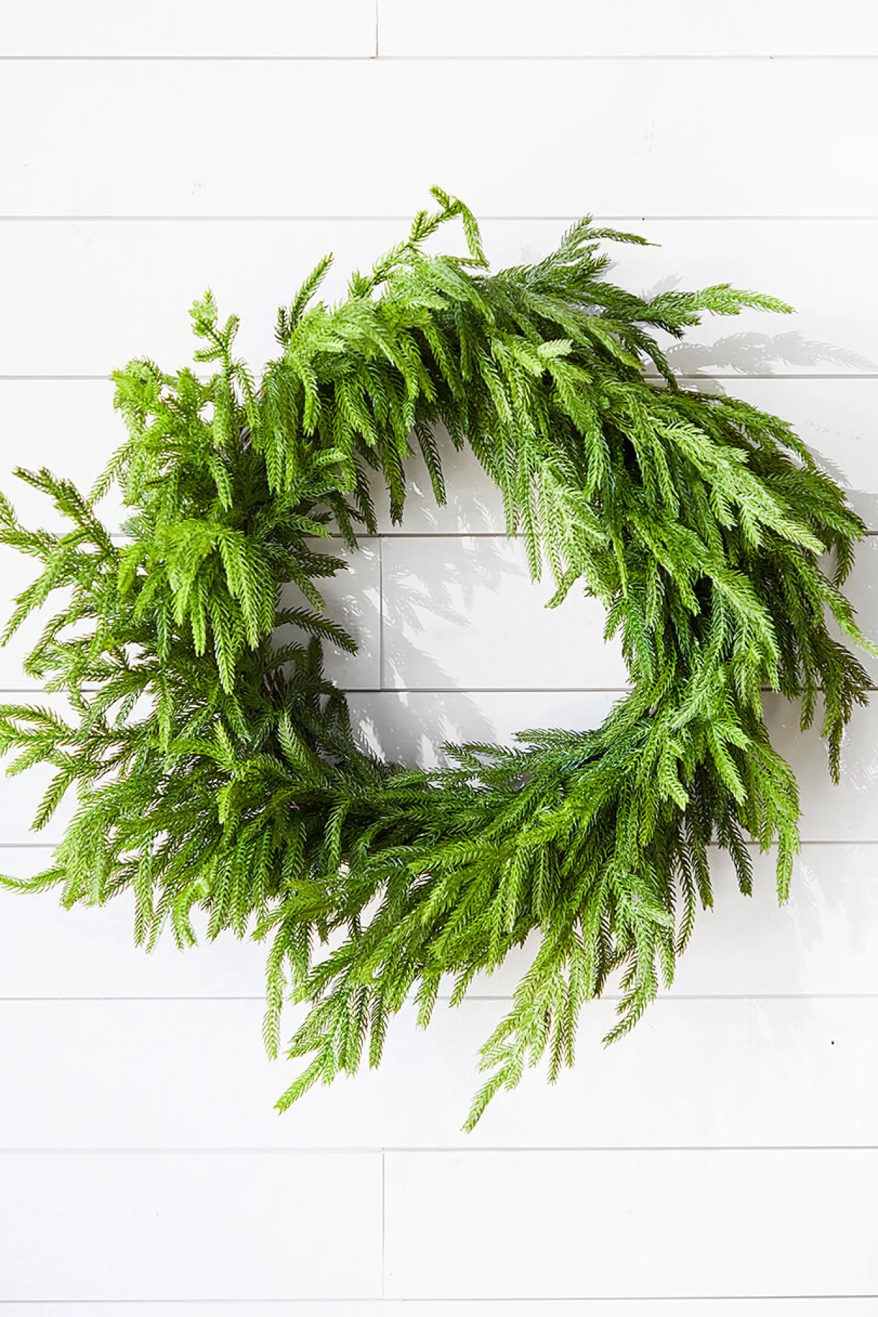 Best 24” Just Cut Norfolk Pine Wreath Christmas Wreaths|Natural Greenery