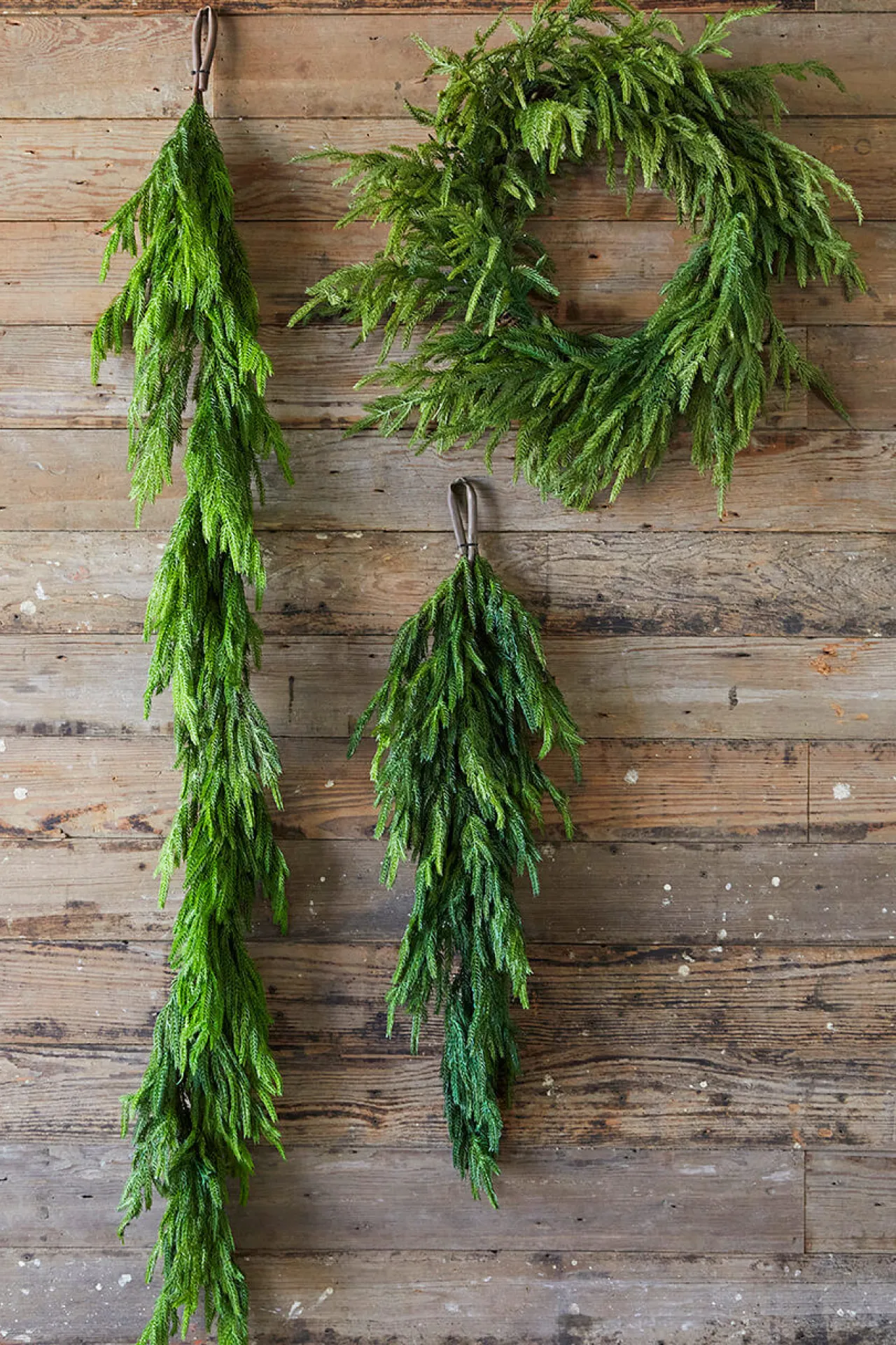 Best 24” Just Cut Norfolk Pine Wreath Christmas Wreaths|Natural Greenery