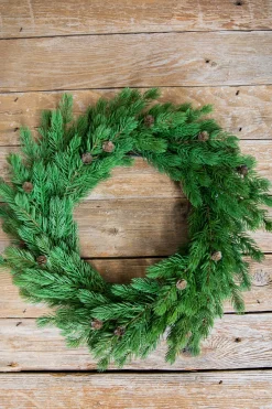 Flash Sale 24” Just Cut Spruce Wreath Christmas Wreaths