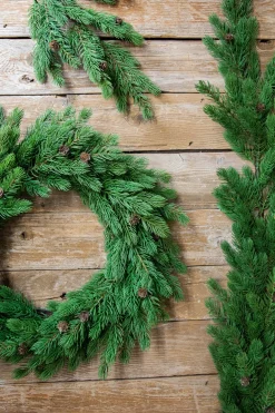 Flash Sale 24” Just Cut Spruce Wreath Christmas Wreaths