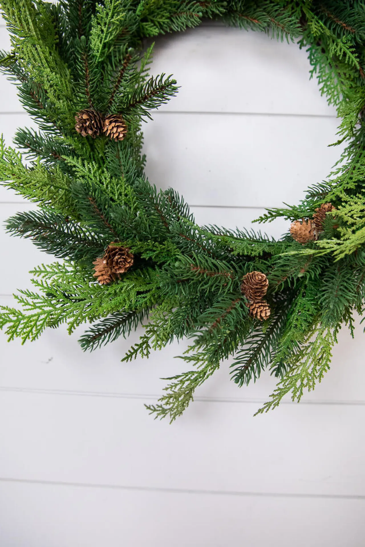 Shop 24” Just Cut Woodland Pines Real Touch Wreath Christmas Wreaths|Natural Greenery