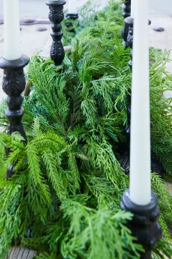 Flash Sale 72” Luxury Cyprus Norfolk Swag Christmas Teardrops|Natural Greenery