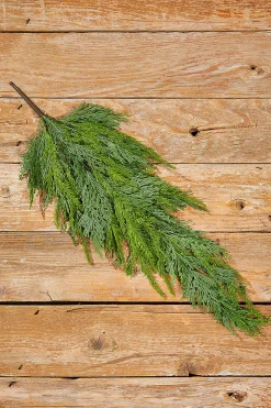 Clearance 25” Natural Touch Cedar Teardrop Christmas Teardrops|Natural Greenery