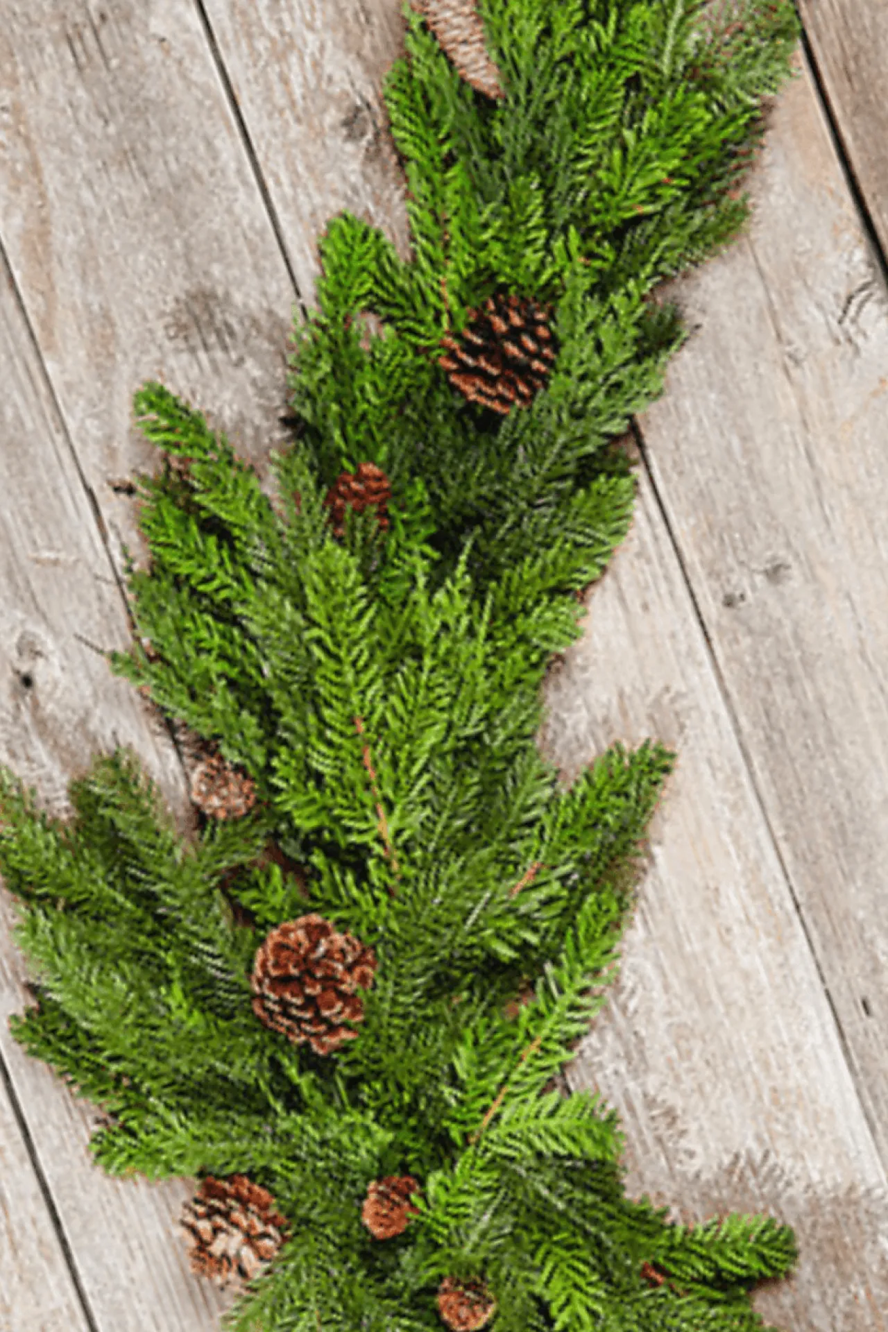 Hot 60” Noble Cedar Cone Tablepiece Christmas Garlands|Natural Greenery