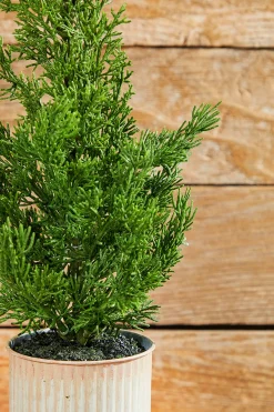 Cheap 18" Plastic Cypress Tree In Tin Pot Christmas Accents