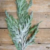 Shop 38” Real Touch Flocked Norfolk Spray Natural Greenery