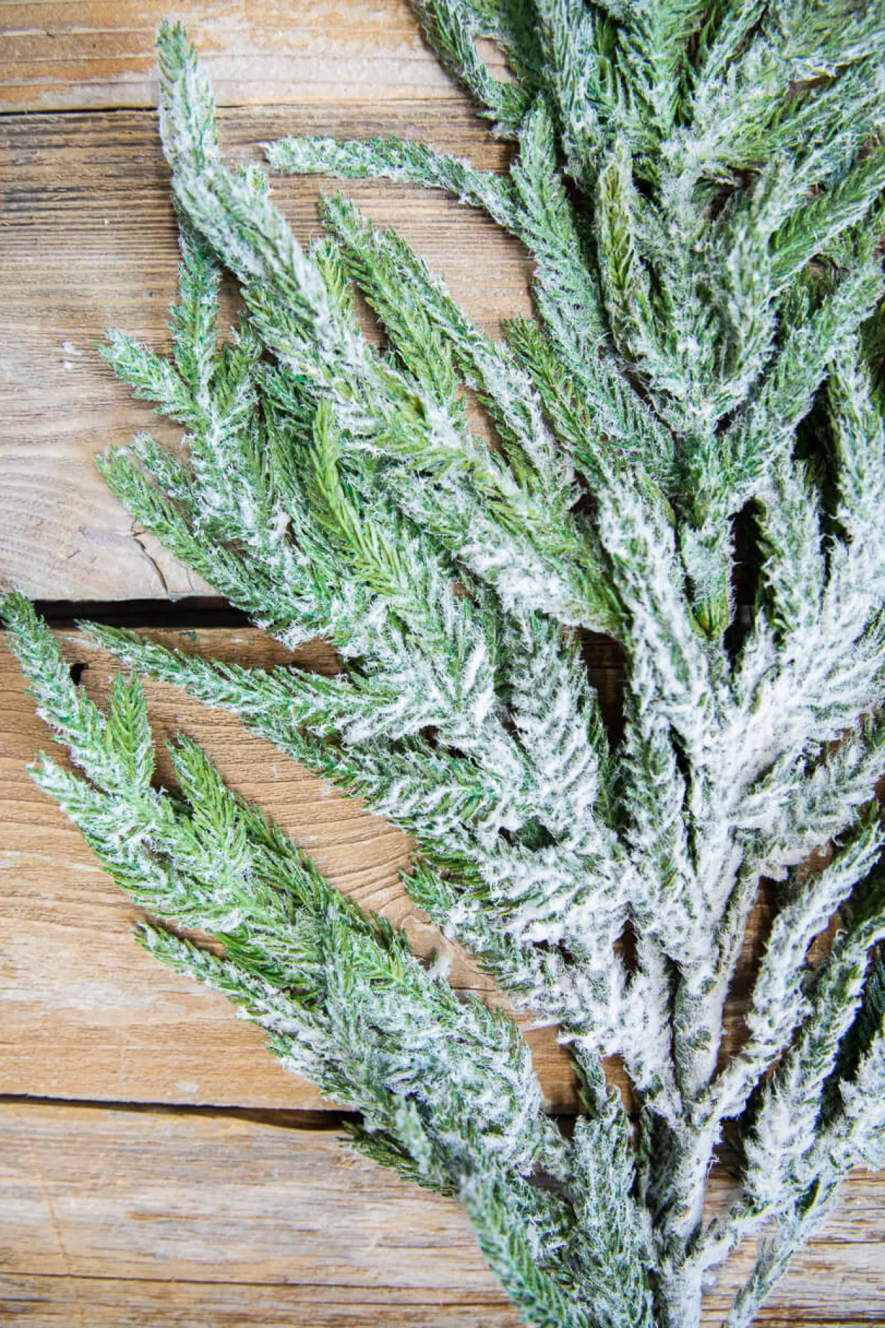 Shop 38” Real Touch Flocked Norfolk Spray Natural Greenery