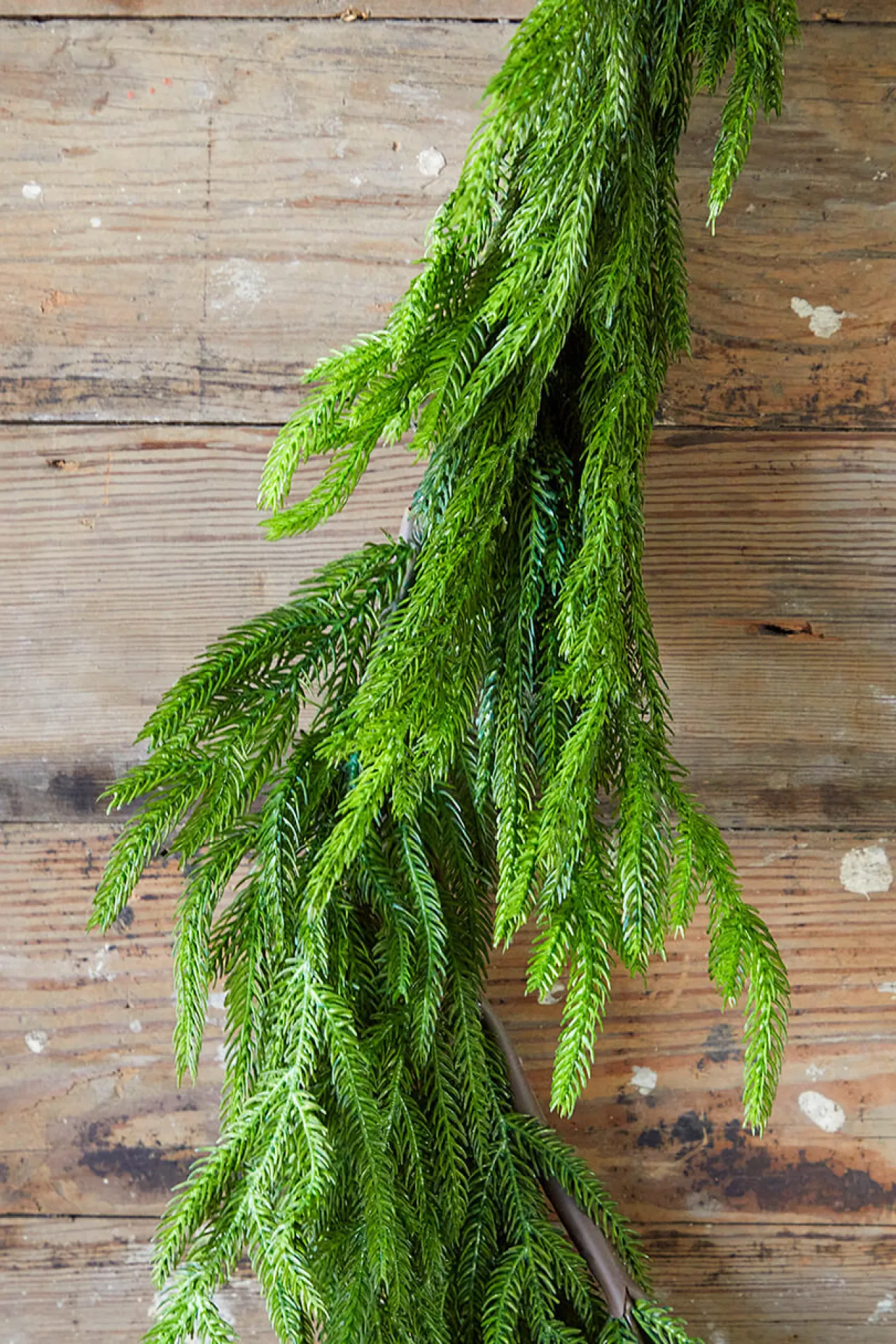 Hot 192” Real Touch Norfolk Pine Garland Christmas Garlands|Natural Greenery