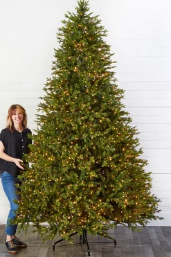 Flash Sale 10' Southern Fir With 3000 3mm Lights Christmas Trees|Christmas Trees
