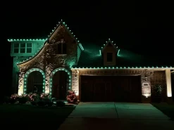 Best C9 Platinum Elite LED SMD Bulb (25 Bulbs/bag) - Faceted, Green Bulbs|Outdoor Lighting