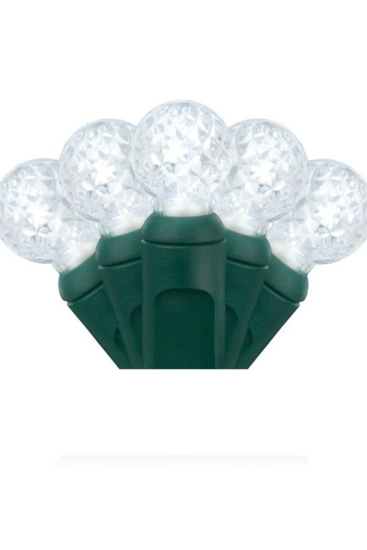 Shop G12 70L 4" Spacing - Cool White Light Strands|Outdoor Lighting